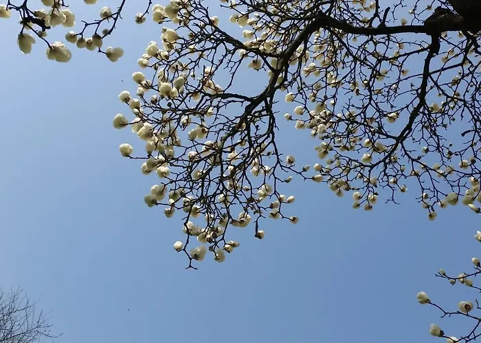 La Cascina Grossa Alessandria